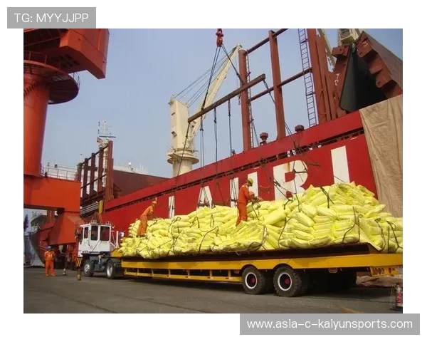 关税风暴下，中国药企迎来窗口期？，中国药品进出口公司