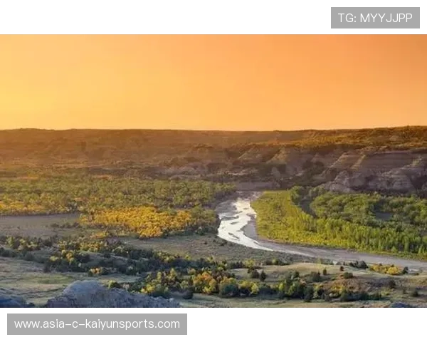 执行稳定减少起伏（410 ）