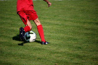 开云体育网页入口-CBA球队完善伤病防护体系保障运动员健康和职业生涯，cba球员伤情报告